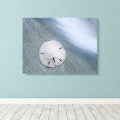 Sanddollar op strand | Sanibel Island, Florida Canvas Afdruk (Insitu (Houten vloer))