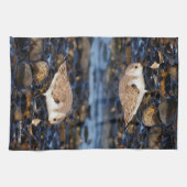 Sanderende mijnen op Clam bij het strand Theedoek (Horizontaal)