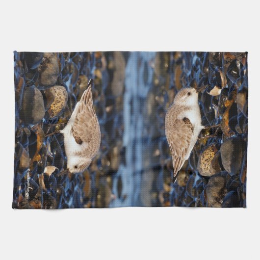 Sanderende mijnen op Clam bij het strand Theedoek (Horizontaal)