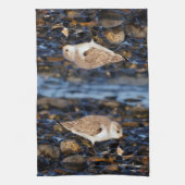 Sanderende mijnen op Clam bij het strand Theedoek (Verticaal)