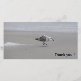 Sanderling, bedankt! bedankkaart