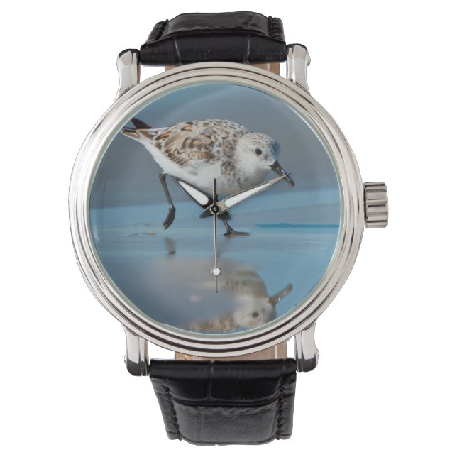 Sanderling (Calidris Albe) Feeding On Wet Beach Horloge (Voorkant)