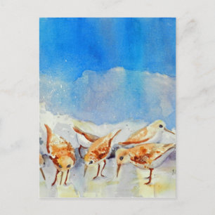Sanderling Shuffle Briefkaart WatercolorBeach Memo