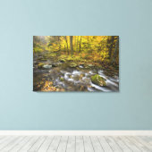 Sanderson Brook. Chester-Blanford State Forest. Canvas Afdruk (Insitu (Houten vloer))