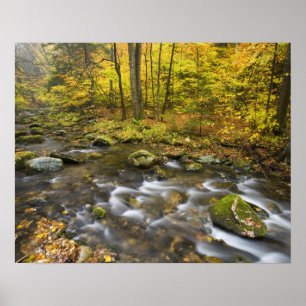 Sanderson Brook. Chester-Blanford State Forest. Poster