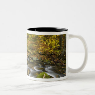 Sanderson Brook.  Chester-Blanford State Forest. Tweekleurige Koffiemok