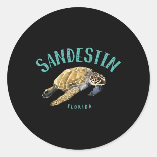 Sandestin Florida Zee Turtle Ronde Sticker (Voorkant)