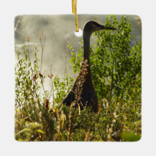 Sandhill Crane bij Moose Ponds in Grand Teton Keramisch Ornament