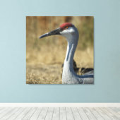Sandhill Crane Canvas Afdruk (Insitu (Houten vloer))