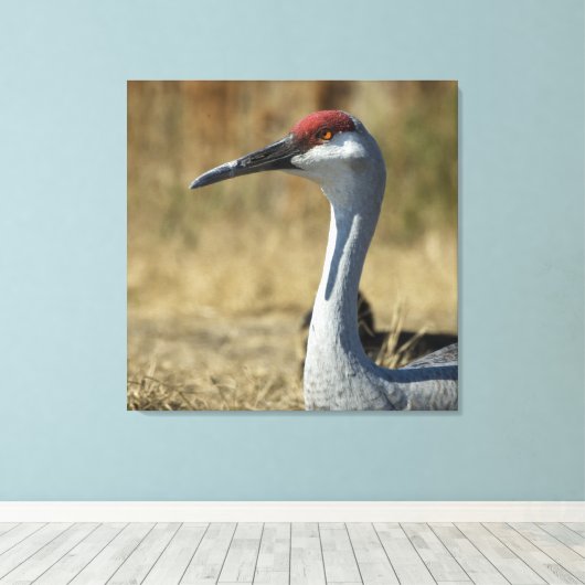Sandhill Crane Canvas Afdruk (Insitu (Houten vloer))