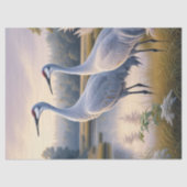 Sandhill Crane Koppel Decoupage Tissuepapier (Voorkant)