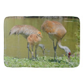 Sandhill Crane Parents and Chick Badmat (Voorkant)