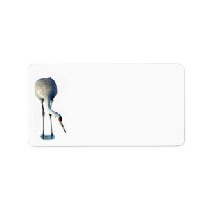 Sandhill Crane Photo Stationery Adres Label