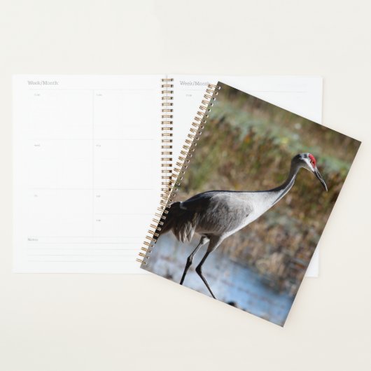 Sandhill Crane Planner (Display)