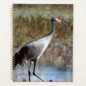 Sandhill Crane Planner (Voorkant)