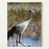 Sandhill Crane Planner (Achterkant)