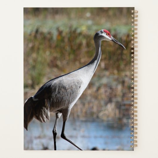 Sandhill Crane Planner (Achterkant)