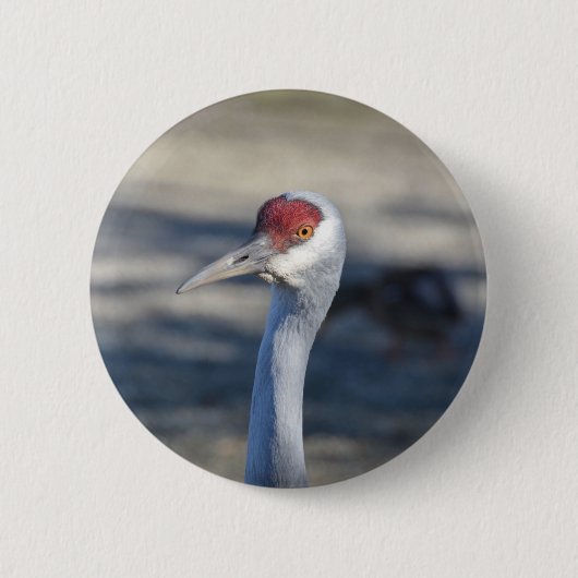 Sandhill Crane Ronde Button 5,7 Cm (Voorkant)
