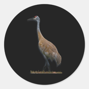 Sandhill Crane Ronde Sticker