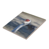 Sandhill Crane Tegeltje (Zijkant)