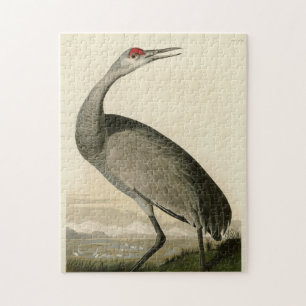 Sandhill Crane uit Audubon's Birds of America Legpuzzel