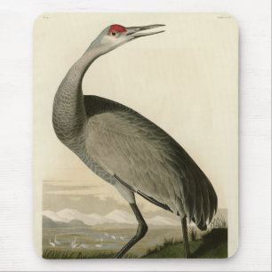 Sandhill Crane uit Audubon's Birds of America Muismat