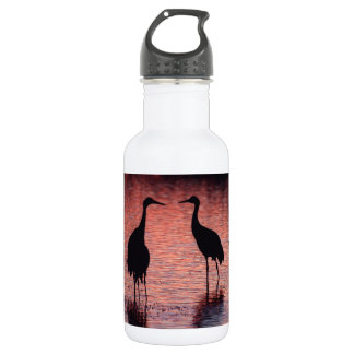 Sandhill cranen waterfles 