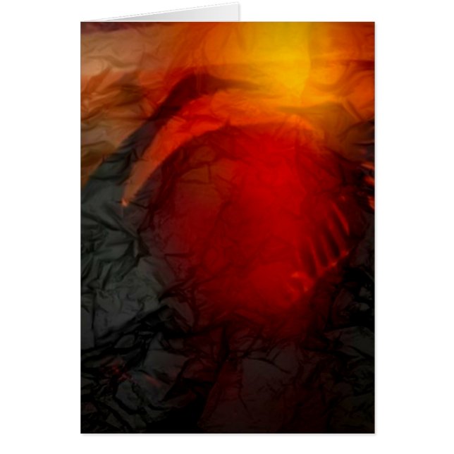 Sandhill Cranes (Voorkant)