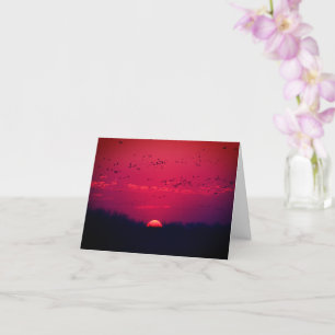 Sandhill Cranes at Sunset notecard 1 Nebraska 2018 Kaart