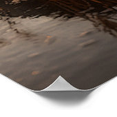 Sandhill Cranes bij Dawn Poster (Hoek)