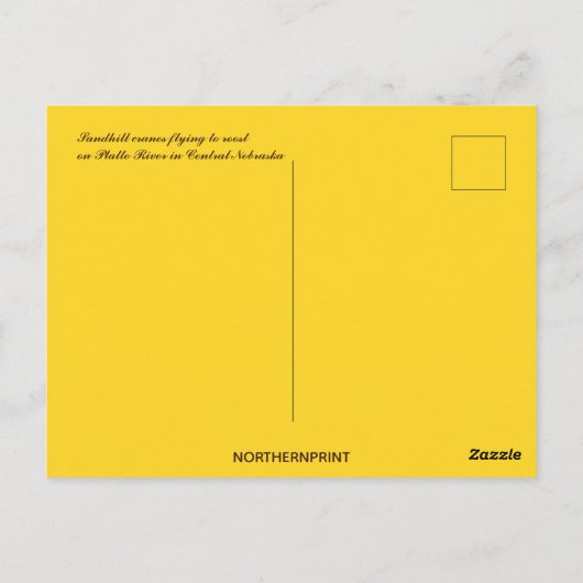 Sandhill Cranes bij Platte River Central Nebraska Briefkaart (Achterkant)