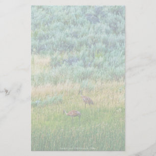 Sandhill Cranes Briefpapier