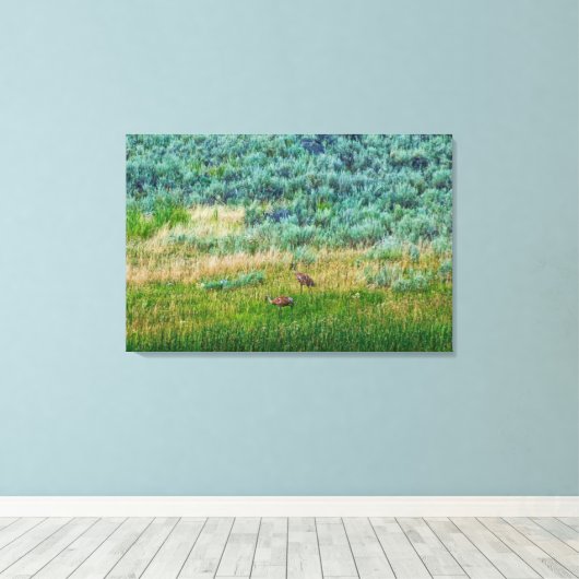 Sandhill Cranes Canvas Afdruk (Insitu (Houten vloer))