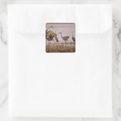Sandhill Cranes Grus canadensis) Platte Vierkante Sticker (Tas)