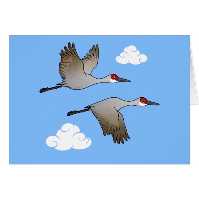 Sandhill Cranes in vlucht (Voorkant Horizontaal)