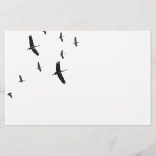 Sandhill Cranes in vlucht Briefpapier