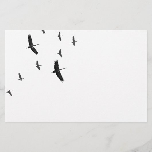 Sandhill Cranes in vlucht Briefpapier (Voorkant)