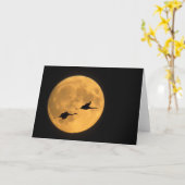 Sandhill Cranes | National Wildlife Reserve Kaart (Gele Bloem)