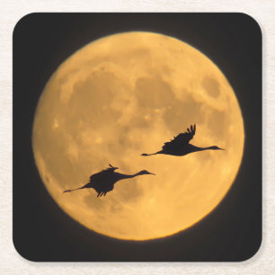 Sandhill Cranes   National Wildlife Reserve Vierkante Kartonnen Onderzetter