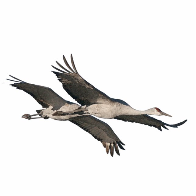 Sandhill Cranes Ornament Fotobeeldje Ornament (Voorkant)