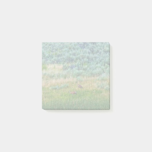 Sandhill Cranes Post-it® Notes (Voorkant)