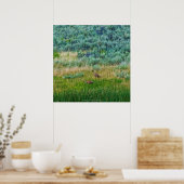 Sandhill Cranes Poster (Keuken)