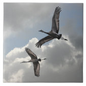 SANDHILL CRANES TEGELTJE (Voorkant)