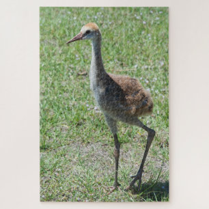 Sandhill Cranes uit Florida op groene veldfoto Legpuzzel
