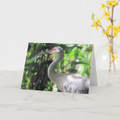 Sandhill kraan kaart (Gele Bloem)