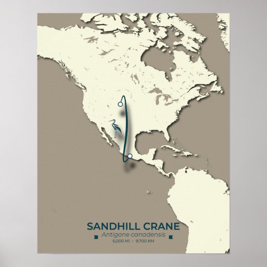 Sandhill Kraanmigratieplanning Kaart - Minimalisti Poster (Voorkant)