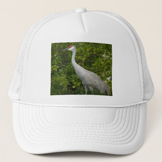 Sandhill Kraanvogel foto Trucker Pet (Voorkant)