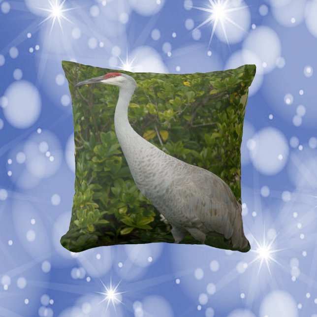 Sandhill Kraanvogel voor groen Foto Kussen (A throw pillow featuring a photo of a sandhill crane bird.)