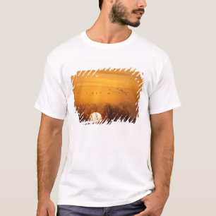 Sandhill kranen gedempt tegen stijgende zon t-shirt