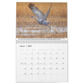 Sandhill kranen kalender (Mar 2027)